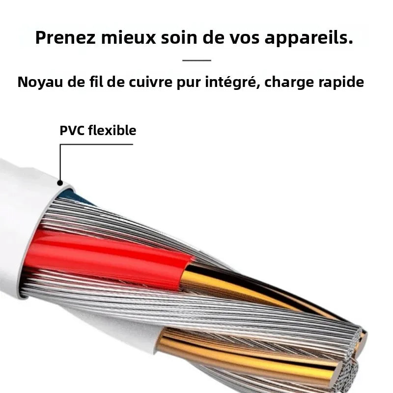 Câble de Charge Magnétique Universel NexWatch - 2 & 4 Broches
